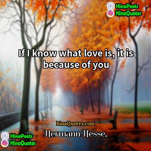 Hermann Hesse Quotes | If I know what love is, it